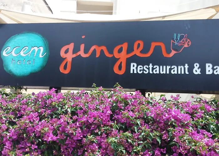 Lägenhetshotell Ecem Marmaris